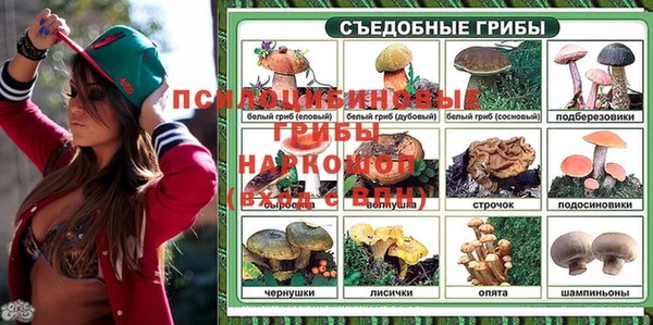 твердый Алзамай