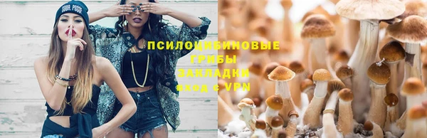 дживик Алексеевка