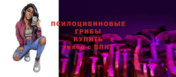 твердый Алзамай