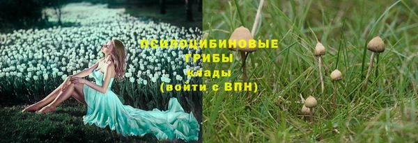 твердый Алзамай