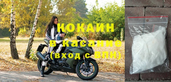 твердый Алзамай