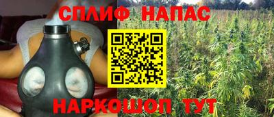 mdpv Лесосибирск