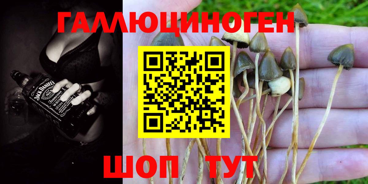 Кимры  Галлюциногенные грибы Psilocybe  Вход с VPN  Псилоцибиновые грибы Psilocybe 